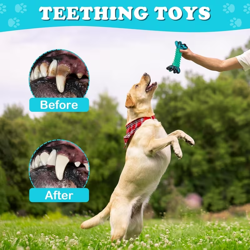 Durable Nylon Chew Toys for Dogs – 1/2 Pack