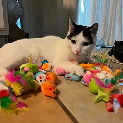 Mixed Cat Toy Set – 10/20/30/50/100 Pieces