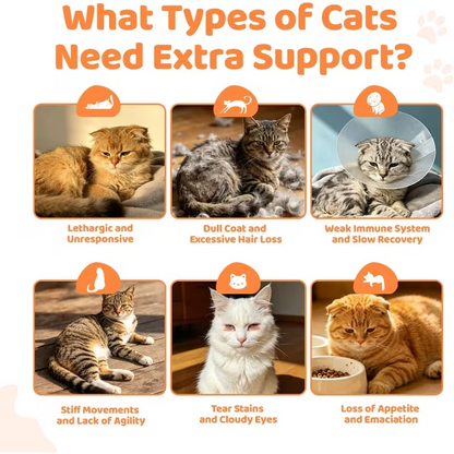 Taurine Cat Multivitamin Treats – 95 Day Supply