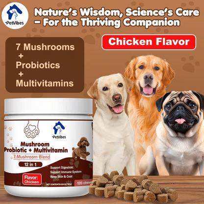 PetVibes Probiotic & Multivitamin Dog Chews