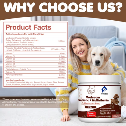 PetVibes Probiotic & Multivitamin Dog Chews
