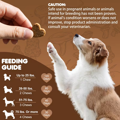 PetVibes Probiotic & Multivitamin Dog Chews