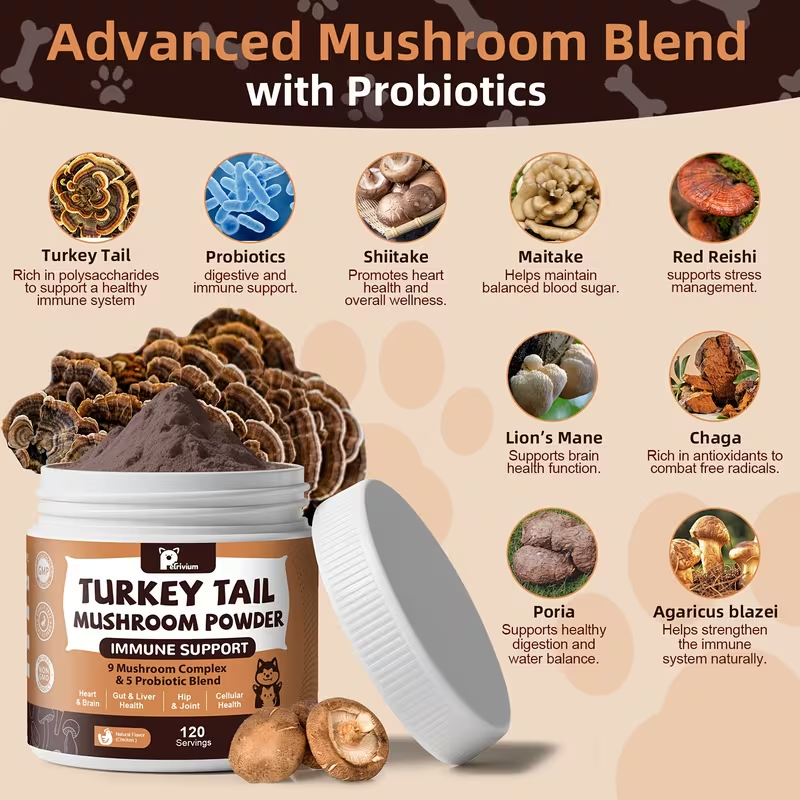 Turkey Tail Mushroom for Dogs & Cats