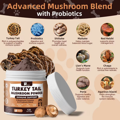 Turkey Tail Mushroom for Dogs & Cats