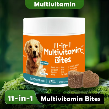 11-in-1 Dog Multivitamin Chews – Chicken Flavor