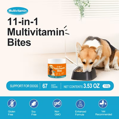 11-in-1 Dog Multivitamin Chews – Chicken Flavor