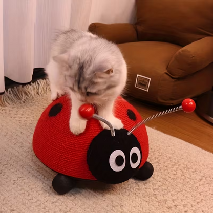 Turtle Cat Scratcher Toy