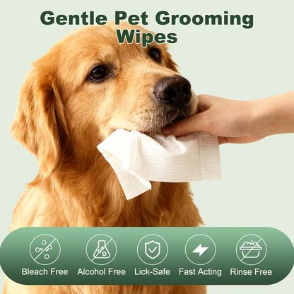 Pet Wet Wipes – 400 Count