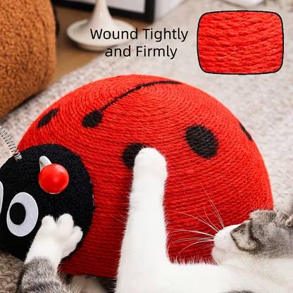 Turtle Cat Scratcher Toy