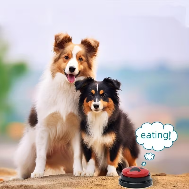 Recordable Dog Training Buttons – 4/8/10 Pack